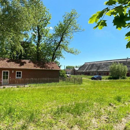 Hofgut Bisdamitz - Ferienhaus "Knoff" Ngoại thất bức ảnh