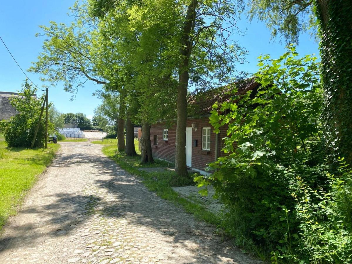 Hofgut Bisdamitz - Ferienhaus "Knoff" Ngoại thất bức ảnh