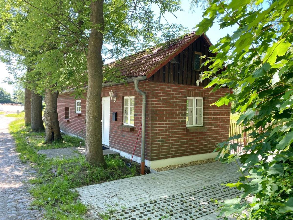 Hofgut Bisdamitz - Ferienhaus "Knoff" Ngoại thất bức ảnh