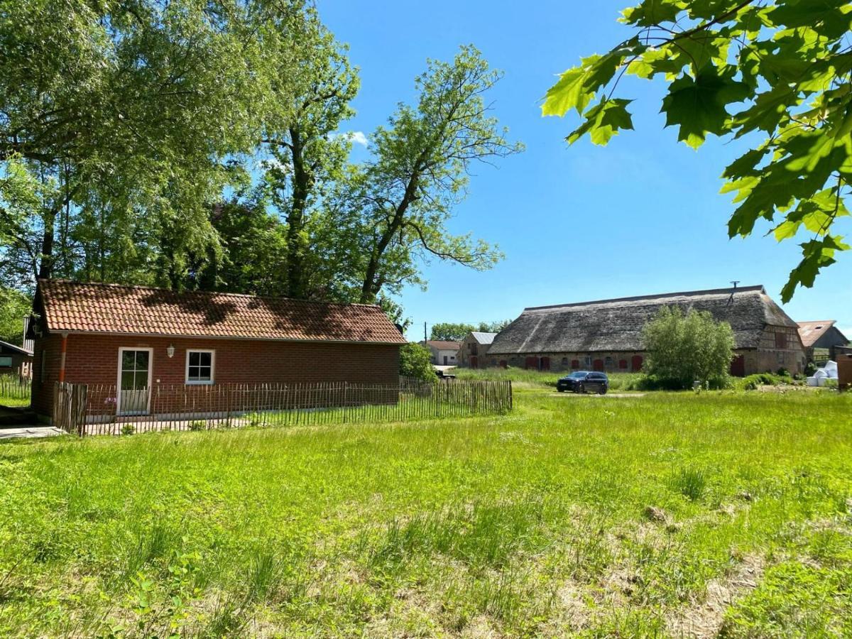 Hofgut Bisdamitz - Ferienhaus "Knoff" Ngoại thất bức ảnh